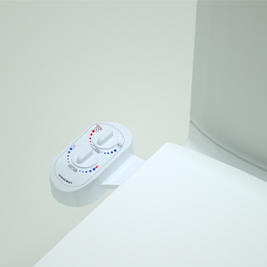 Smart Bidet